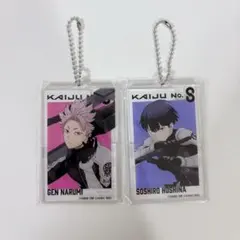 怪獣8号 保科宗四郎 鳴海弦 アクリルビッグタグA 2点セット
