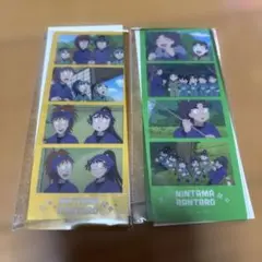 五年生