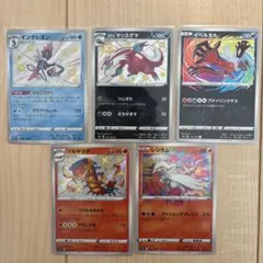 インテレオン マッスグマ イベルタル マルヤクデ レシラム5枚セット価格