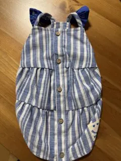 DOGDEPTドックデプト今季青白のストライプDS試着のみ