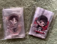 BTS タイニータン JUNGKOOK アクスタ2点セット