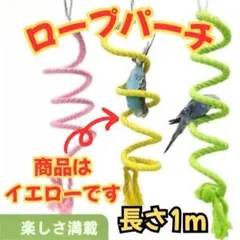 Item thumbnail for item 92446b06-cc76-4f94-a315-679c0c2ce476