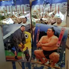 Item thumbnail for item e2ac7c8f-ea25-4f0a-8591-8e013c27ee20