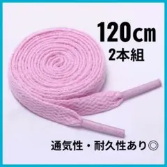 紐交換 通気性 快適 フラット シューズ用 靴紐 120㎝ 平紐 2本組 丈夫