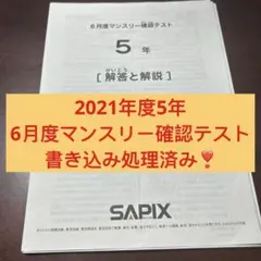 2026年最新】sapix 組分けテスト 新5年の人気アイテム - メルカリ
