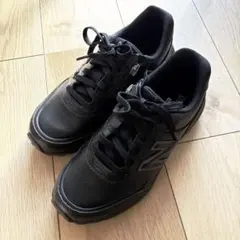 Item thumbnail for item e8054116-a9de-4cf5-a41d-17a198a59b32