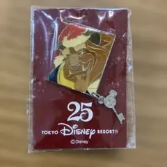 ディズニーピンバッジ シンデレラ 25周年 非売品 - メルカリ