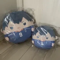 ハイキュー ぬいくじ アニメイト 影山飛雄 BIG B賞 C賞 ふわコロりん