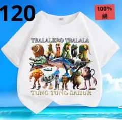 Item thumbnail for item 2c246c39-81fd-4da5-aa41-e9db8b39cc26