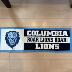 Columbia university flag