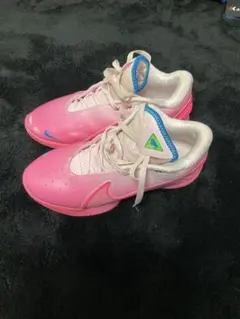 NIKE LeBron22 “I Promise.” 海外限定カラー - メルカリ