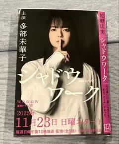 シャドウワーク 佐野広実著