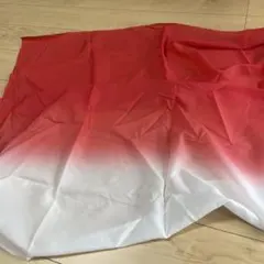 Item thumbnail for item 77d29194-1e86-4034-8d35-02e4dcf2c7f7