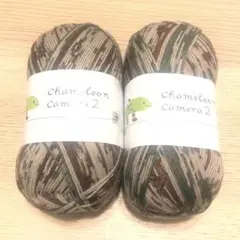 ④カメレオンカメラ2 ソックヤーン opal