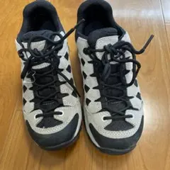 Item thumbnail for item a14419f2-177e-4c07-86fc-5af71eb66b21