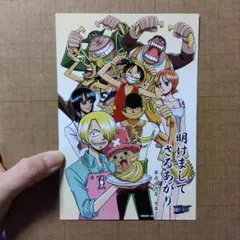 d*2様 ワンピース　年賀状　平成16年　届いたハガキ