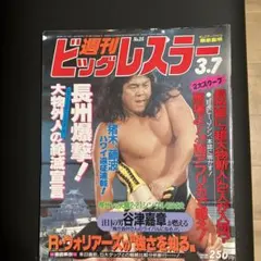 レスラー名鑑 Best fighters ビッグレスラー 新年創刊号付録 Yahoo!オークション - 【付録のみ】レスラー名鑑 (ビッグ