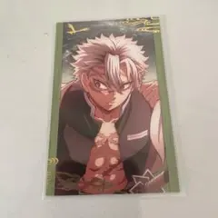 鬼滅の刃 無限城編 描き下ろしイラストランダムフォトカードA 不死川実弥