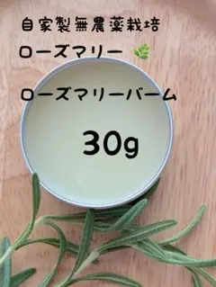 自宅無農薬栽培ローズマリー　ローズマリーバーム