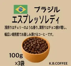 NEW 自家焙煎 エスプレッソレディ 珈琲豆 (100g×3)のサムネイル