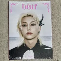 新品未開封 Straykids DOIT accordion フィリックス