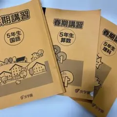 roo～浜学園　5年生セット！　春期講習～通常授業等 2026年最新】浜学園 春期講習 小5の人気アイテム - メルカリ