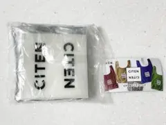 CITEN ミニエコバッグ シルバー