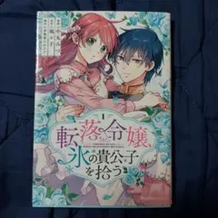 転落令嬢、氷の貴公子を拾う(1)　同梱可能