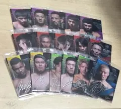 RIZINウエハース2025まとめ売り