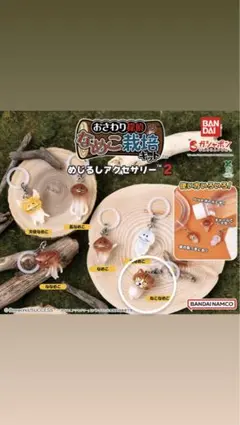 なめこ栽培キット めじるしアクセサリー