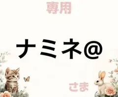専用