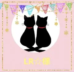 ⭐️LR☆様専用⭐️