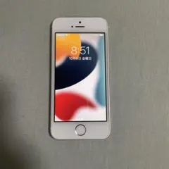 Apple iPhone SE 第一世代 64GB A1723 本体