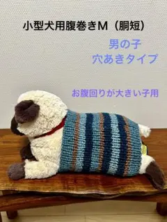 小型犬用腹巻きM（幅短め）男の子　H628