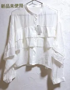 ✨新品未使用タグ付✨シアー フリルショート丈 ブラウス シャツのサムネイル