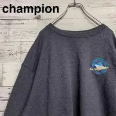 【希少2XLサイズ】チャンピオン　刺繍ワンポイントロゴ　スウェット　入手困難