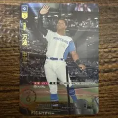 ドリオ ドリームオーダー 万波 中正 SP 1枚 北海道日本ハムファイターズ