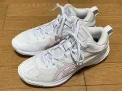 asics(アシックス) GELHOOP V17 2E 26.5