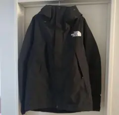 THE NORTH FACE GORE-TEX マウンテンジャケット
