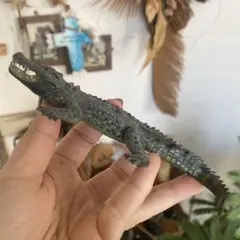 新品★未使用★フィギア★フィギュア★リアル★ワニ★生き物★