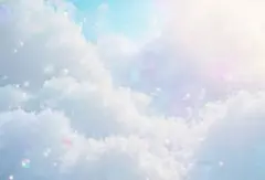 みさ様専用