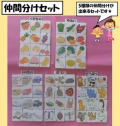 仲間分けセット　療育グッズ