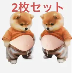 2枚　おなかシール　柴犬　ぷにぷにシール　ぷくぷくシール　３D　立体　シール帳