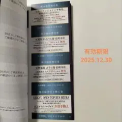 京急　株主優待割引券 100