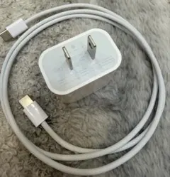 Apple 70W USB-C 電源アダプタ 充電ケーブルセット - メルカリ