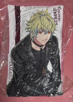 中古　日向大和　ヒューゴ　BLACK Garden 黒庭　布ポスター HE☆VENS GARDEN BLACK GARDEN 布ポスター 日向大和 - メルカリ