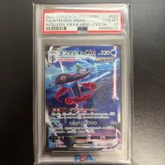 インテレオン VMAX PSA 10 023/022