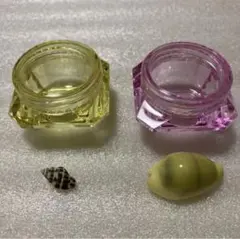 海の宝石箱　貝殻　2種　ガチャ
