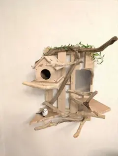 2025年最新】バードジムの人気アイテム - メルカリ