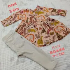 トップスとパンツセット